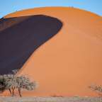 Eine Gruppe von Menschen klettert auf eine große Sanddüne
