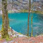 Ein Teich im Wald mit einem Zaun umgeben von Bäumen