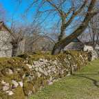 Eine Steinmauer mit Moos darauf steht neben einem Feldweg