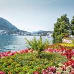 Ein Blumenbeet in der Nähe eines Sees mit einem Berg im Hintergrund