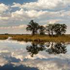 Ein Fluss mit Bäumen im Hintergrund und Wolken im Wasser