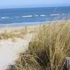 Ein Weg zum Strand führt durch die Sanddünen