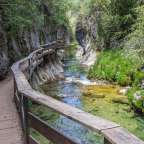 Eine Holzbrücke über einen Fluss in einem Wald