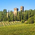 Ein Turm sitzt auf einem Hügel über einem Weinberg