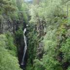 Ein Wasserfall inmitten eines grünen Waldes