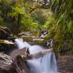 Ein Wasserfall inmitten eines grünen Waldes