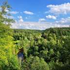 Ein Fluss fließt durch einen Wald an einem sonnigen Tag