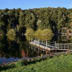 Ein Dock am Ufer eines Sees mit Bäumen im Hintergrund