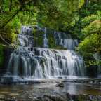 Ein Wasserfall inmitten eines grünen Dschungels