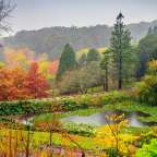 Ein Teich in einem Park mit bunten Bäumen