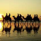 Eine Gruppe von Menschen , die auf Kamelen am Strand fahren