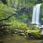 Ein Wasserfall inmitten eines grünen Dschungels