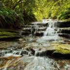 Ein Wasserfall fließt durch einen üppigen Wald