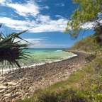 Ein felsiger Strand mit einer Palme im Vordergrund