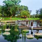 Ein Park mit einem Teich und einem Holzsteg