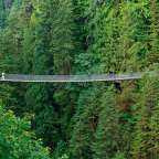 Menschen gehen über eine Hängebrücke in einem Wald