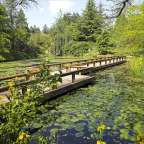 Eine Holzbrücke führt über einen Teich mit Wasserlilien
