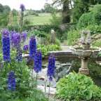 Ein Garten mit einem Brunnen und lila Blumen