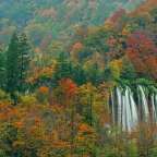 Ein Wasserfall inmitten eines bunten Waldes