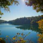 Ein See umgeben von Bäumen an einem sonnigen Tag