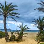 Ein Strand mit Palmen und Bäumen an einem bewölkten Tag
