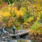 Eine Person steht auf einer Holzbrücke über einen Fluss