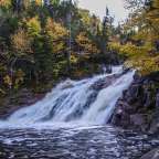 Ein Wasserfall im Wald mit Bäumen im Hintergrund