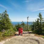 Ein roter Stuhl sitzt auf einem Felsen inmitten eines Waldes