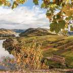 Ein Blick auf einen Fluss mit Weinbergen im Hintergrund