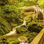 Beliebter Spaziergang: zu den Dickson Falls