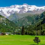 Ein grünes Feld mit Bäumen und Bergen im Hintergrund