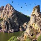Eine Gruppe von Vögeln fliegt über einen See zwischen zwei Felsen