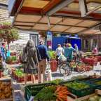 Kleinstadt in der Elbmarsch: Dannenberg