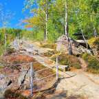 Eine Treppe führt hinauf zu einem Hügel in einem Wald