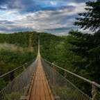 Eine sehr lange Hängebrücke führt durch einen Wald