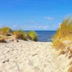 Ein sandiger Weg führt zum Meer
