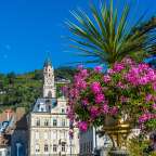 Ein Blumentopf mit rosa Blumen und einem Uhrturm im Hintergrund