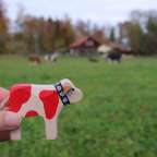 Eine Person hält eine rote und weiße Holzkuh in der Hand