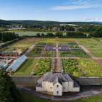 Ein großer Garten mit einem Gebäude im Vordergrund