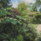 Ein Garten mit vielen verschiedenen Pflanzen und Bäumen