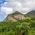 Ein Berg mit einer Palme im Vordergrund
