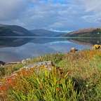 Ein See mit Bergen im Hintergrund und Bäumen im Vordergrund
