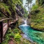 Eine Holzbrücke über einen Fluss in einem Wald