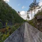 Eine lange Holzbrücke führt durch einen Wald