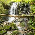 Ein Wasserfall inmitten eines grünen Waldes