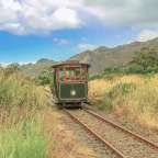 Ein grüner Zug fährt auf einer Eisenbahnstrecke