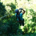 Eine Person, die auf einem Seil in einem Wald fliegt