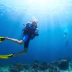 Ein Taucher mit gelben Flossen schwimmt im Ozean