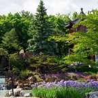 Ein Wasserfall in einem Park mit lila Blumen und Bäumen