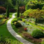 Ein Garten mit vielen Blumen und Bäumen